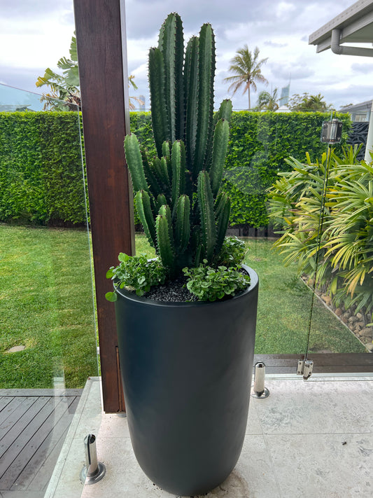 Fibrestone Black - Cindy Pots