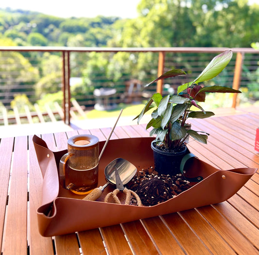 Planting and Repotting Mats