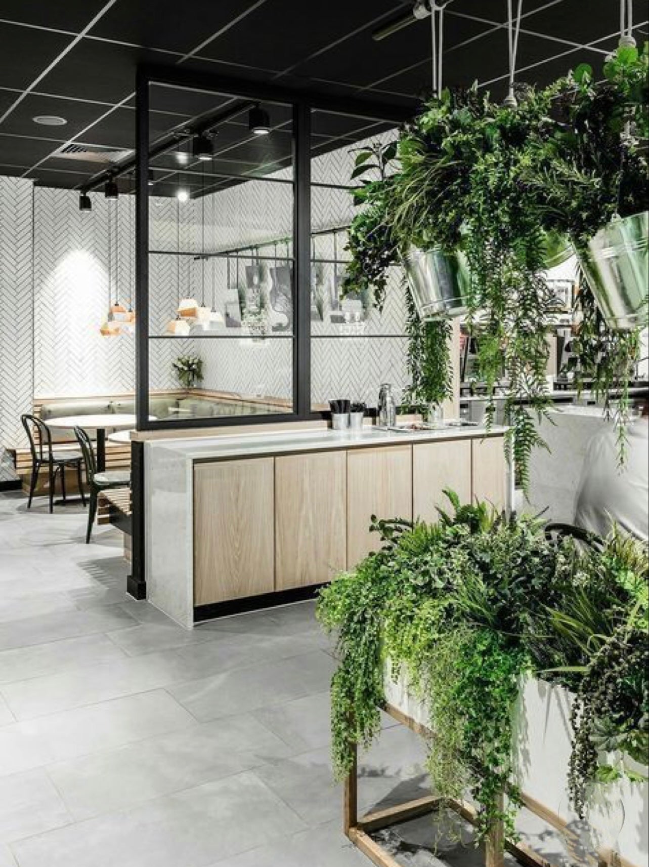 Plant Hire (Personalised Plans Available)