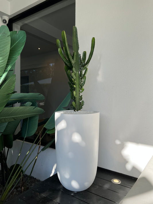 Fibrestone White - Cindy Pots