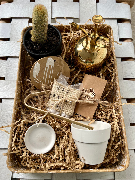 Cactus Kit