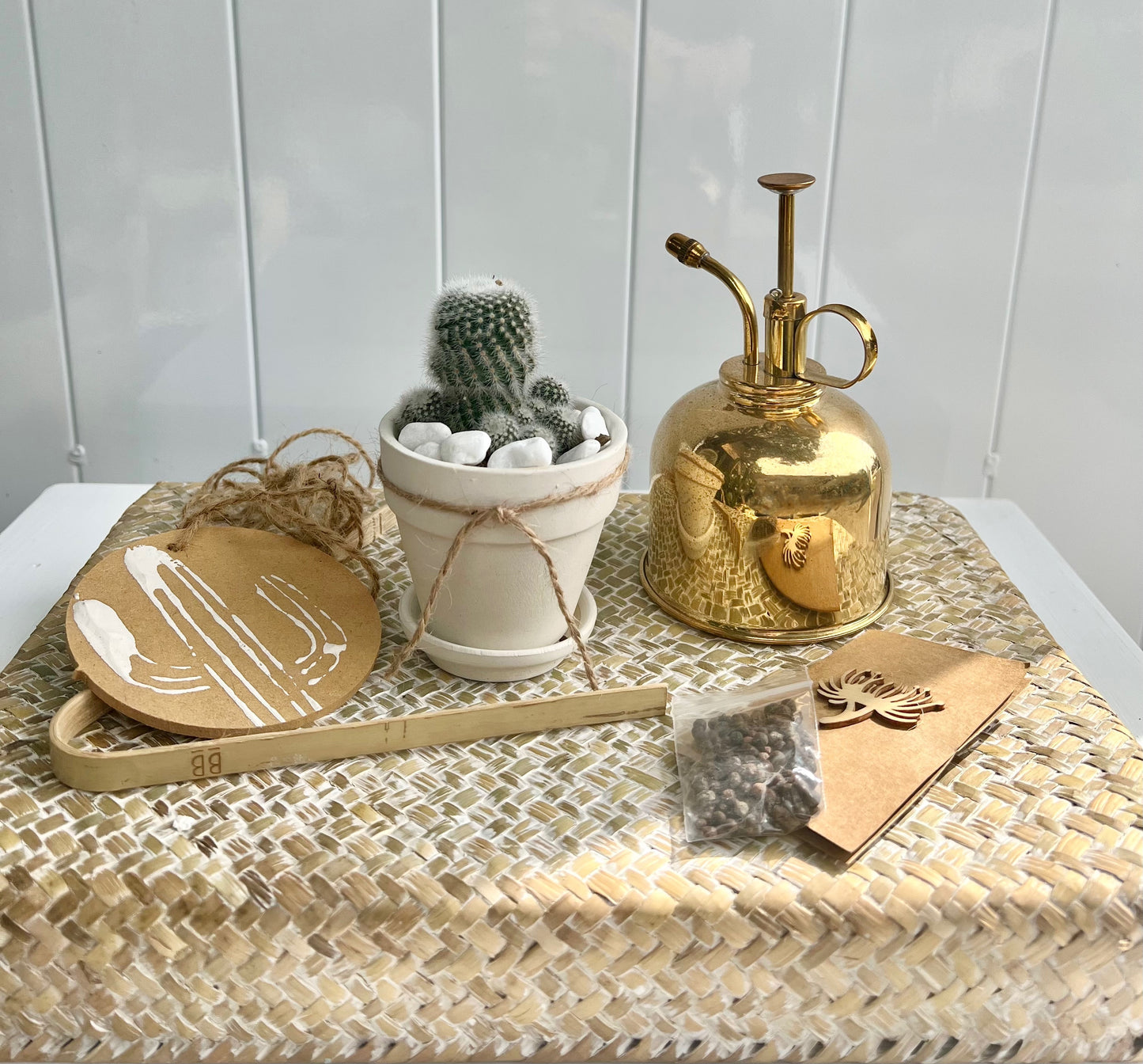Cactus Kit