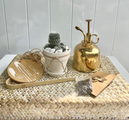 Cactus Kit