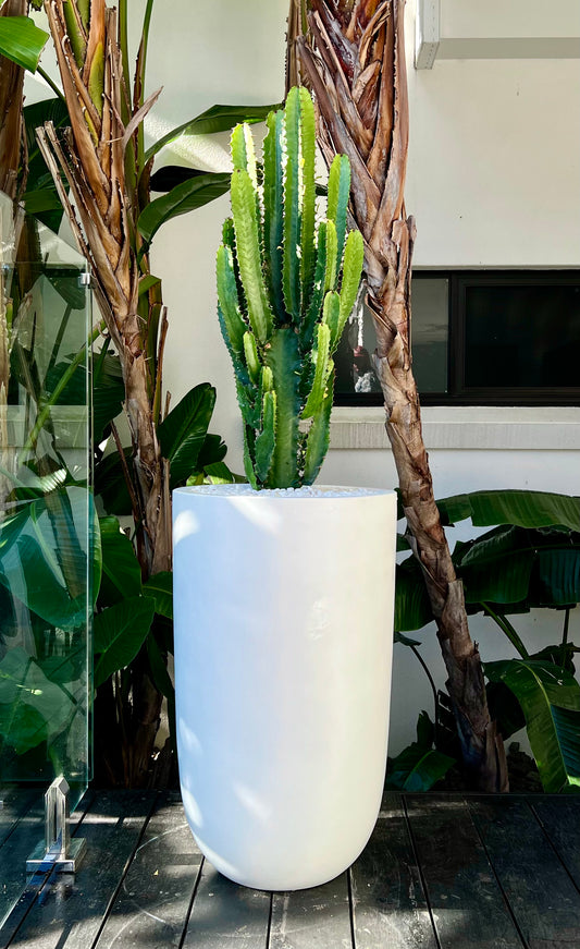 Fibrestone White - Cindy Pots