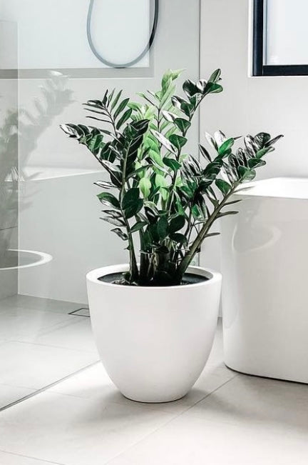 Fibrestone White - Egg Pot