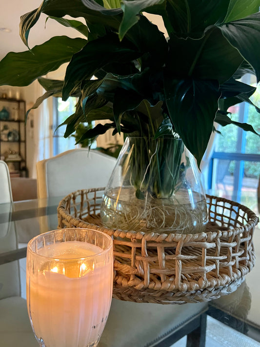 Peace Lily Water Vase