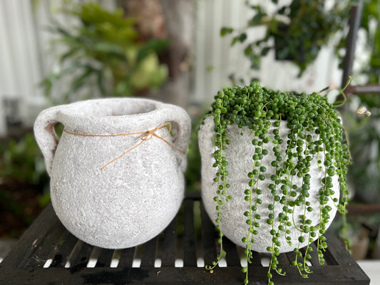 String of Pearls in Textured Ceramic Urn