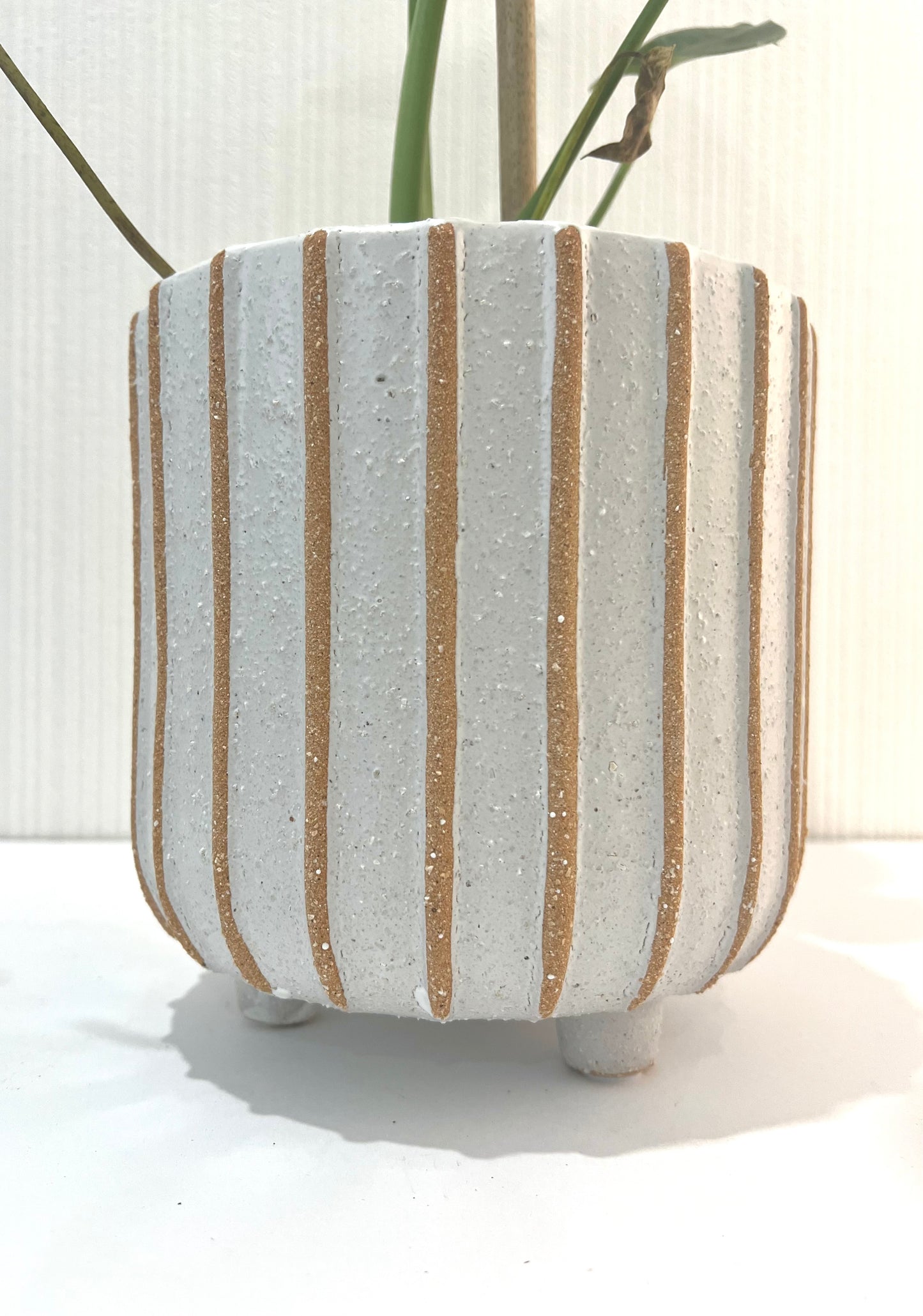 Stevie Striped Indoor Pot