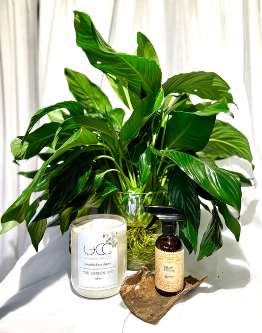 Peace Lily Water Vase