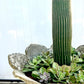 Limestone Tulip Urn