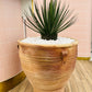 Crete Art Pot in Terracotta