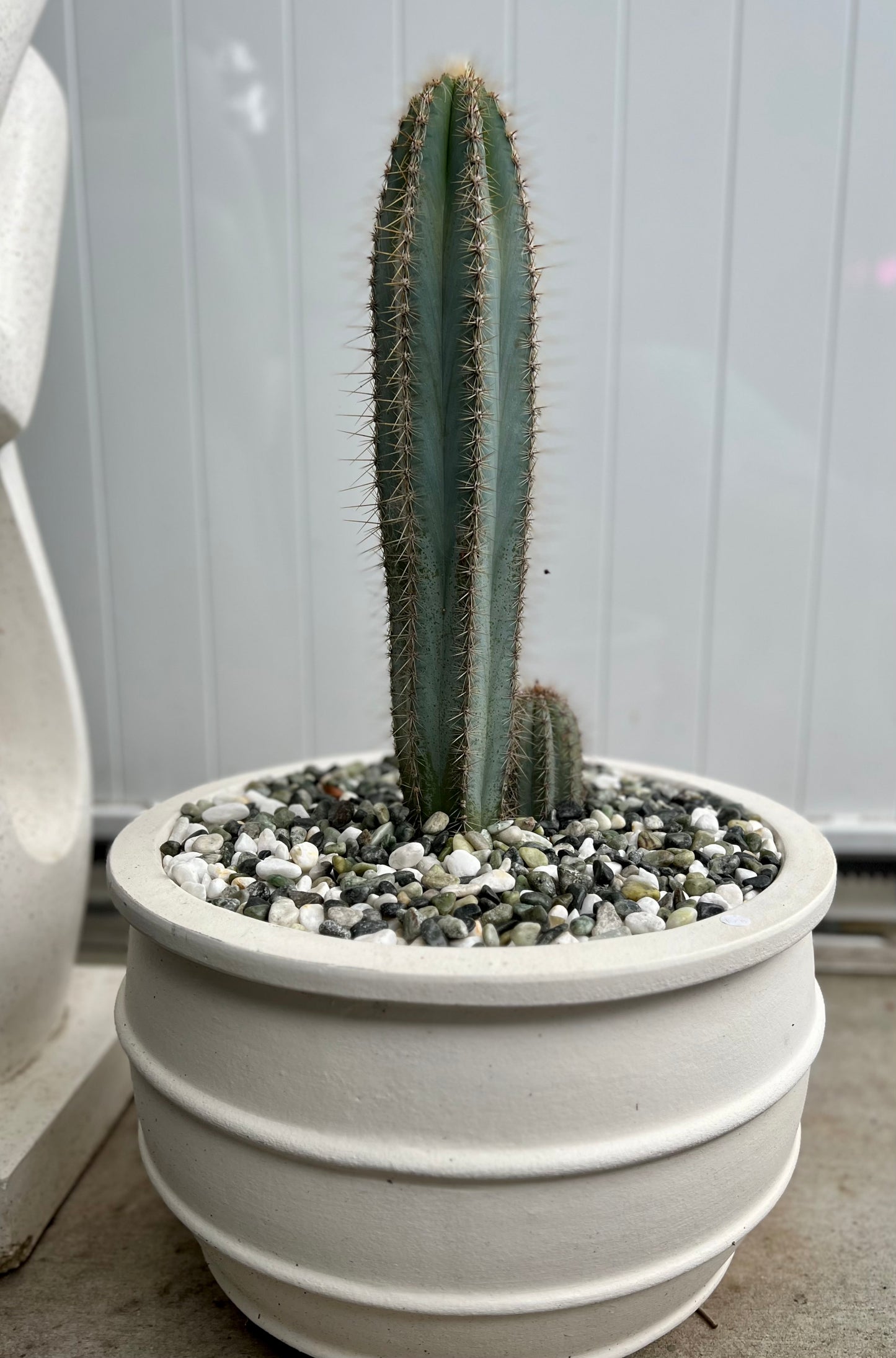 White Terracotta Coastal Ring Pot