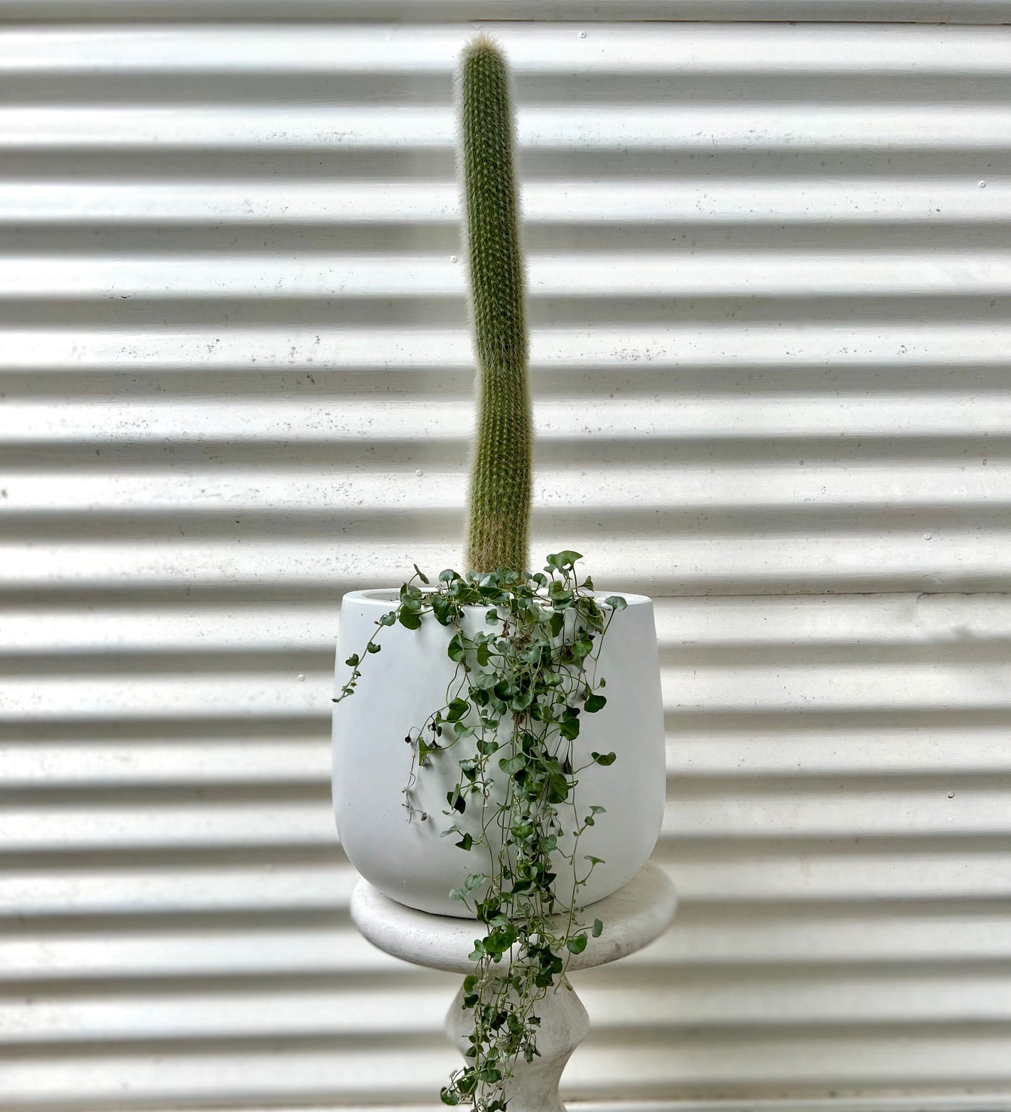 Mountain Candle in Small Fibrestone Duffey Pot.