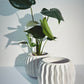 Emma ripple White Pot