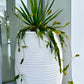 White Terracotta Coastal Urn