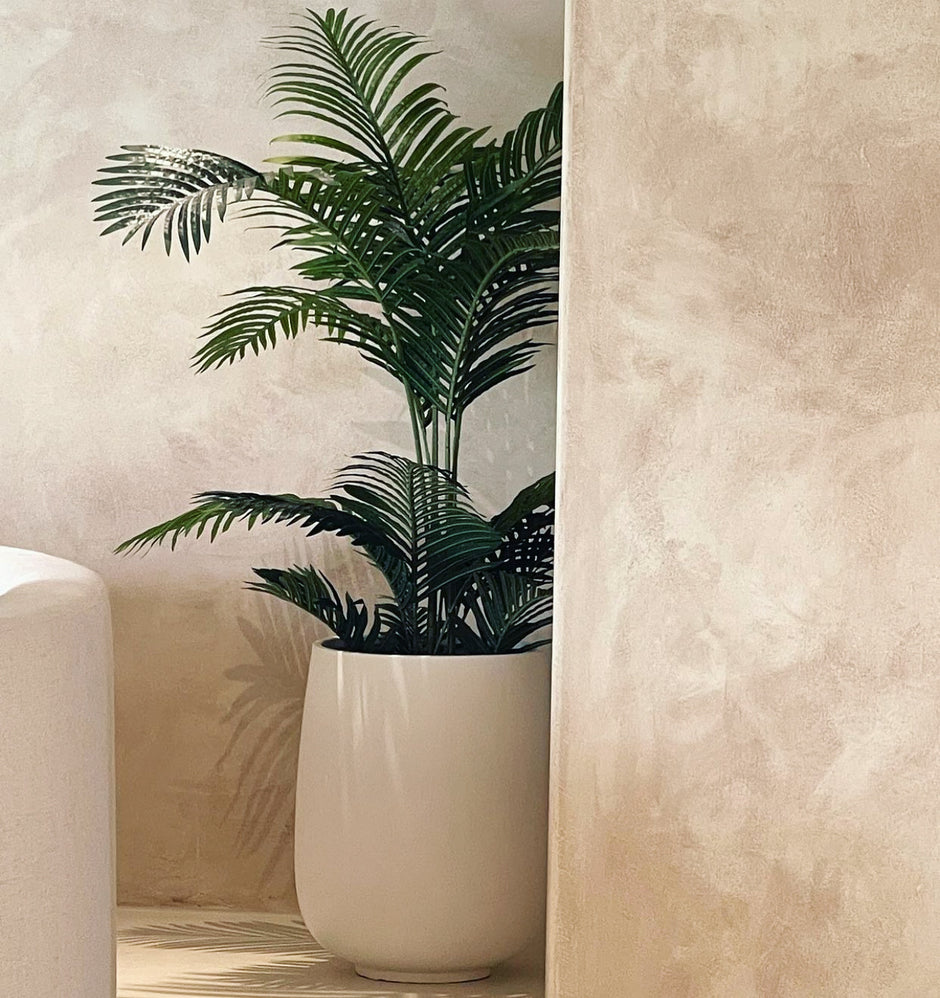 Plant Hire Indoor & Outdoor Plant Hire Plant People