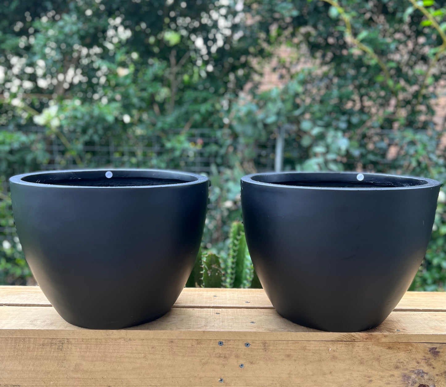 Fibrestone Black - Egg Pot (Small & Medium)