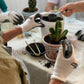 Cactus Workshop