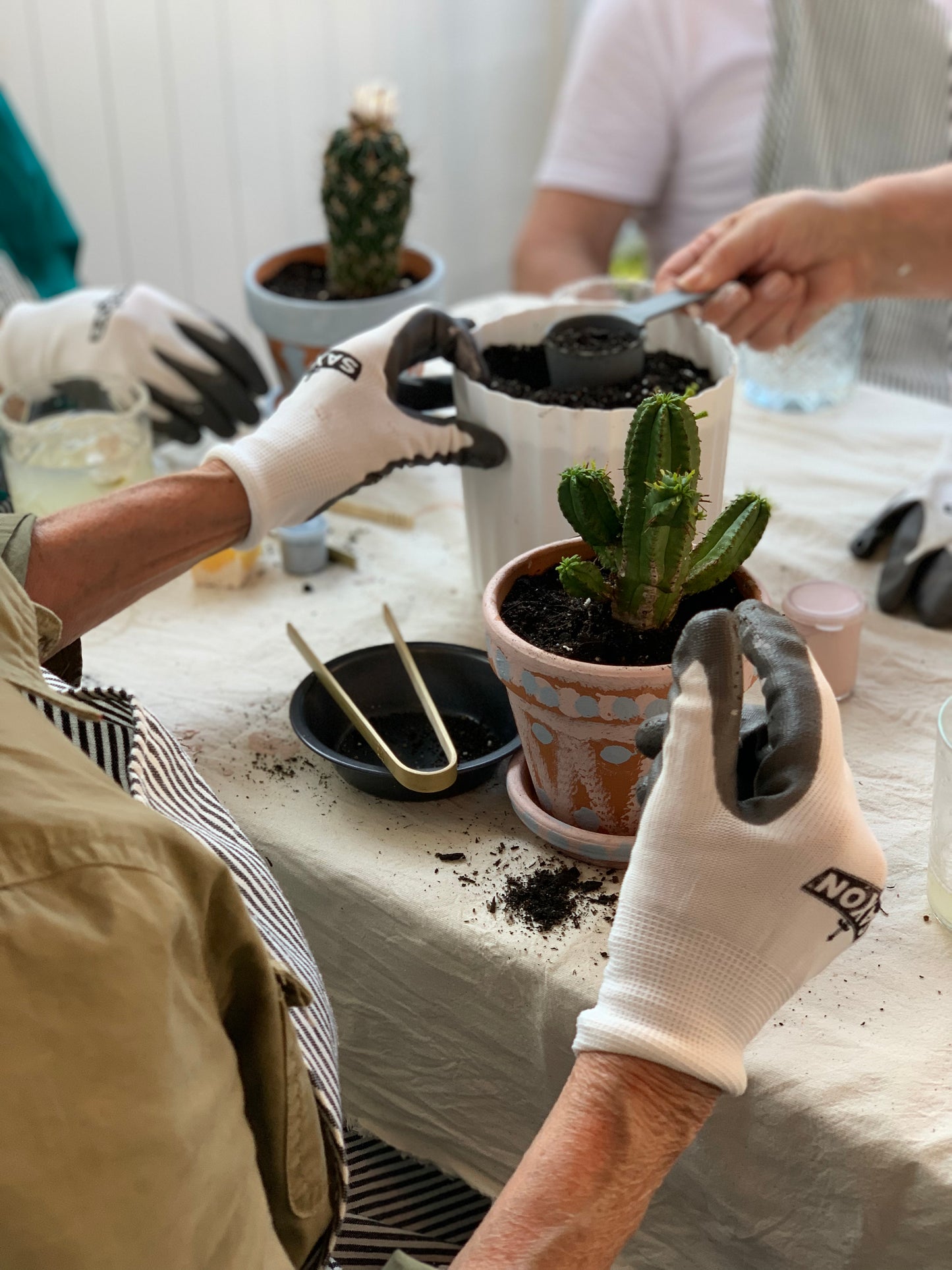 Cactus Workshop