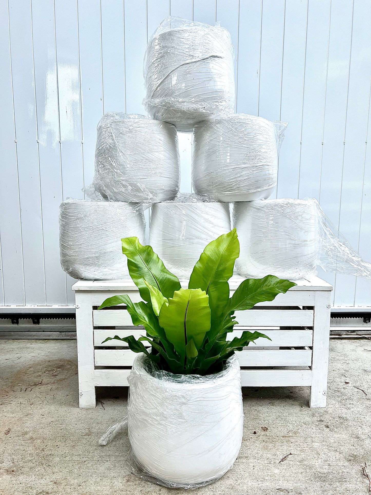 Fibrestone White - Duffey Pots