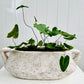 Poppy Ceramic Pot