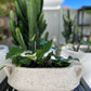 Poppy Ceramic Pot