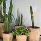 Antique Terracotta U-Shaped Planter Pot Set